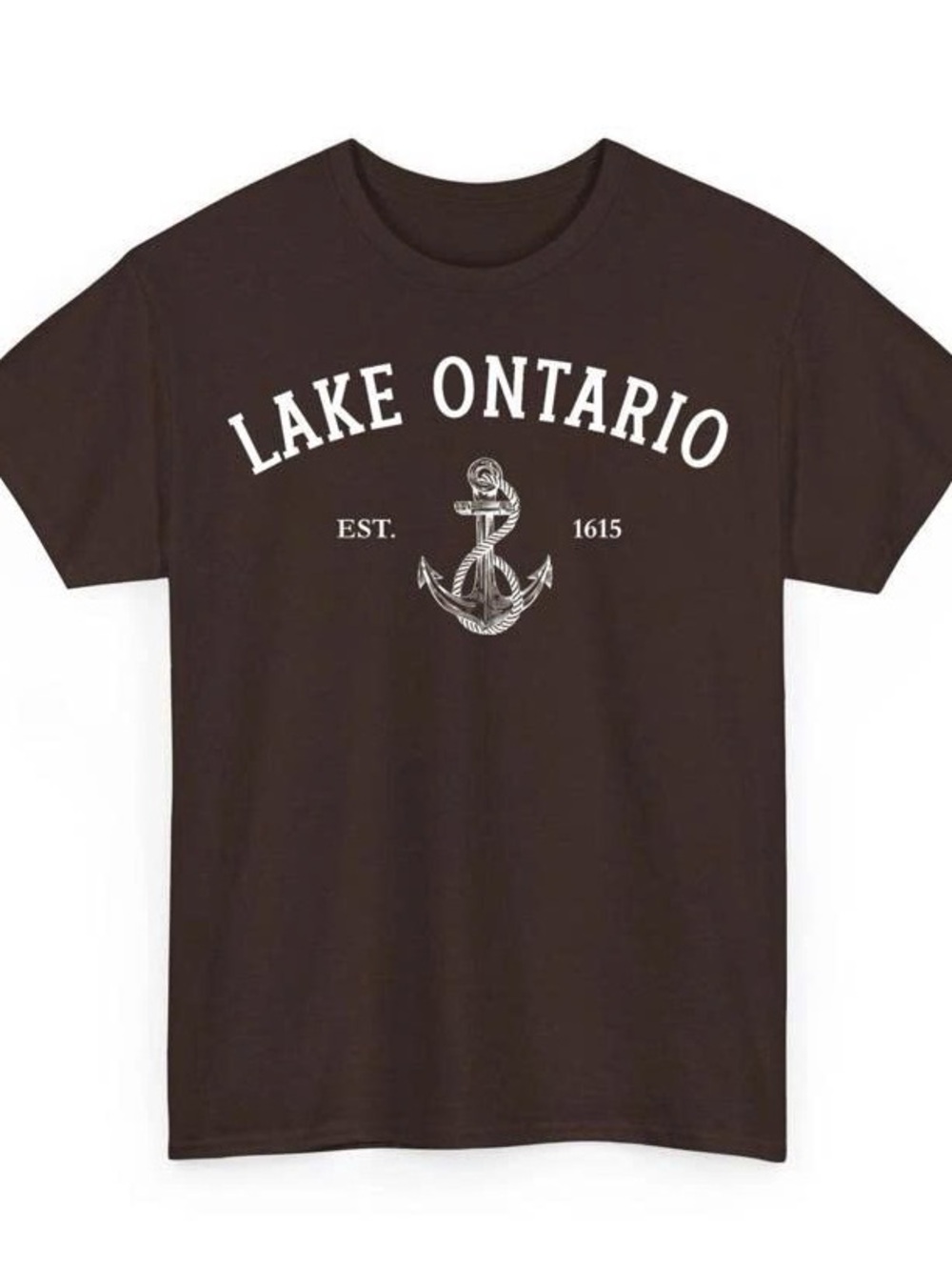 Gildan Brown Lake Ontario Anchor Graphic Tee